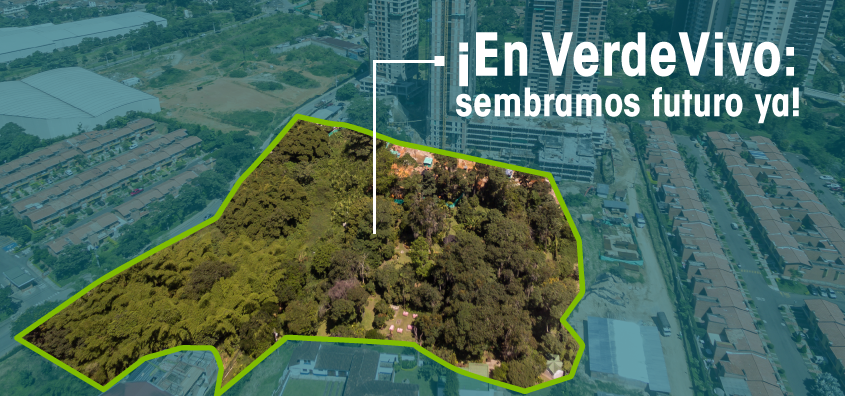 banner-infografia-verdevivo.png banner-infografia-verdevivo.png