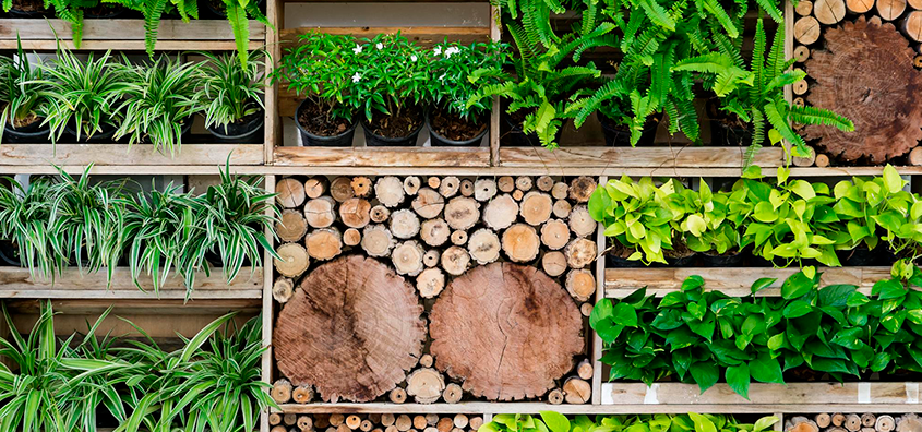 jardines-verticales.png jardines-verticales.png